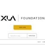 X.LA Airdrop Review: The Team to win an X.LA NFT.