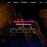 What Is Salmonation (SUI)? Complete Guide & Review About Salmonation