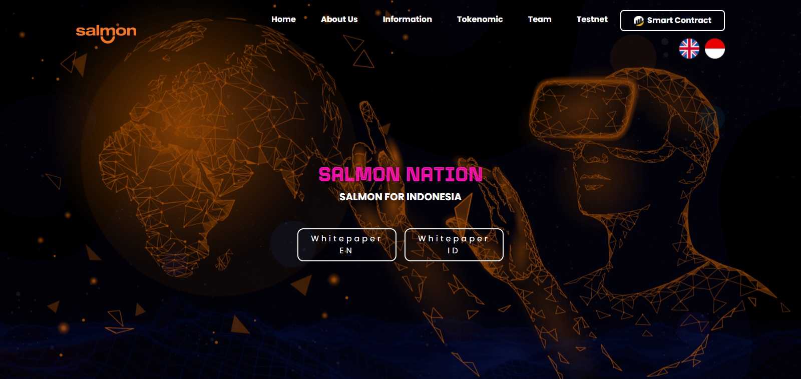 What Is Salmonation (SUI)? Complete Guide & Review About Salmonation