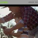 What Is Lemonchain (LEMC)? Complete Guide & Review About Lemonchain