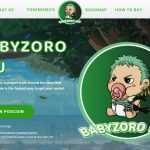 What Is Baby Zoro Inu(BABYZOROINU)? Complete Guide & Review About Baby Zoro Inu
