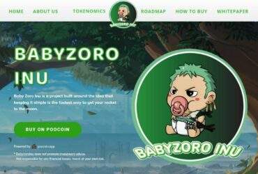 Lixwe blogging | what is baby zoro inu(babyzoroinu)? complete guide & review about baby zoro inu