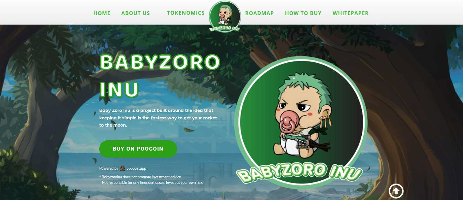 What Is Baby Zoro Inu(BABYZOROINU)? Complete Guide & Review About Baby Zoro Inu