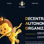 What Is Bee Capital (BEE)? Complete Guide & Review About Bee Capital
