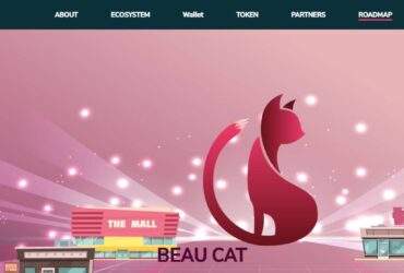Lixwe blogging | what is beau cat darko(buc)? complete guide & review about beau cat