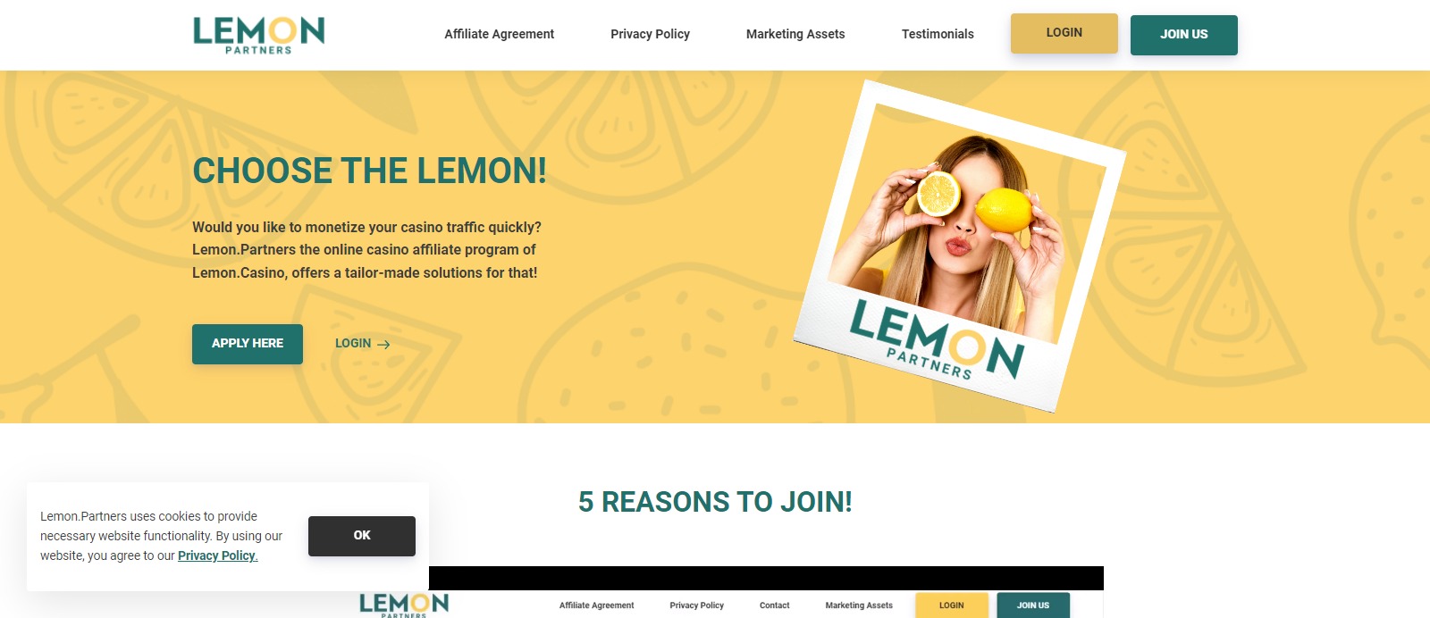Lemon Partners Affiliate Program Review: 25% - 50% Recurring Revenue share