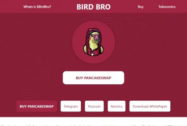 What Is Birdbro (BIRDBRO)? Complete Guide & Review About Birdbro