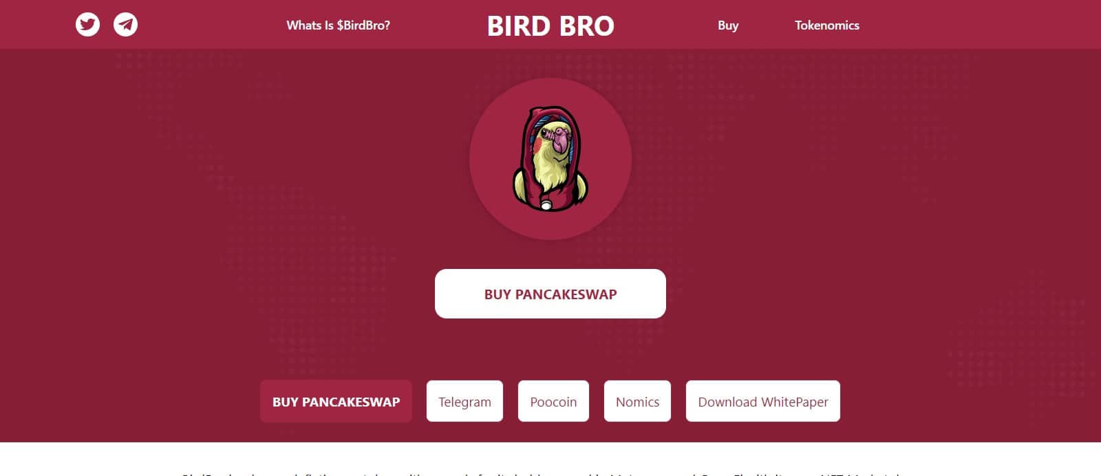 What Is Birdbro (BIRDBRO)? Complete Guide & Review About Birdbro