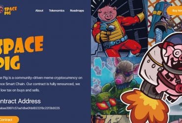 What Is Space Pig Coin (SPACEPIG)? Complete Guide & Review About Space Pig Coin