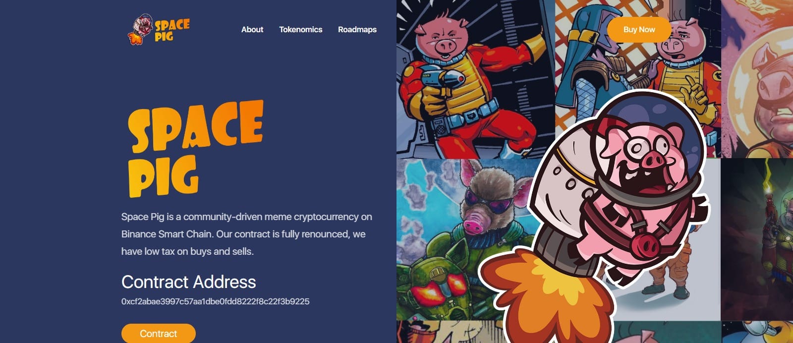 What Is Space Pig Coin (SPACEPIG)? Complete Guide & Review About Space Pig Coin