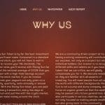 What Is Rising Sun(SUN)? Complete Guide & Review About Rising Sun