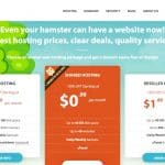 Hostens Web Hosting Review : VPS Hosting 70% Off