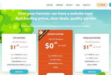 Hostens Web Hosting Review : VPS Hosting 70% Off