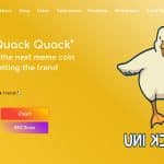 What Is QuackInu (QUACK)? Complete Guide & Review About QuackInu