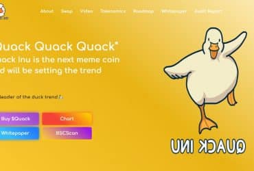 What Is QuackInu (QUACK)? Complete Guide & Review About QuackInu