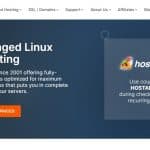Rosehosting Web Hosting Review : Fully Managed Linux Hosting