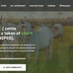 What Is Nelore Coin(NLC)? Complete Guide & Review About Nelore Coin