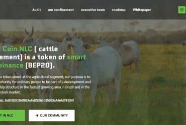 What Is Nelore Coin(NLC)? Complete Guide & Review About Nelore Coin