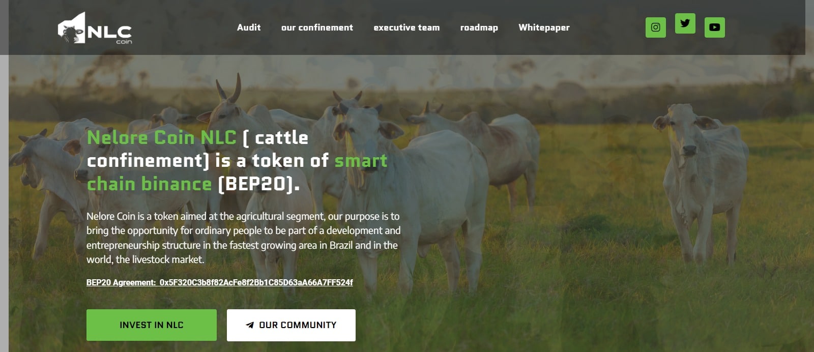 What Is Nelore Coin(NLC)? Complete Guide & Review About Nelore Coin