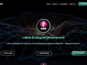 What Is LaEeb (LAEEB)? Complete Guide & Review About LaEeb