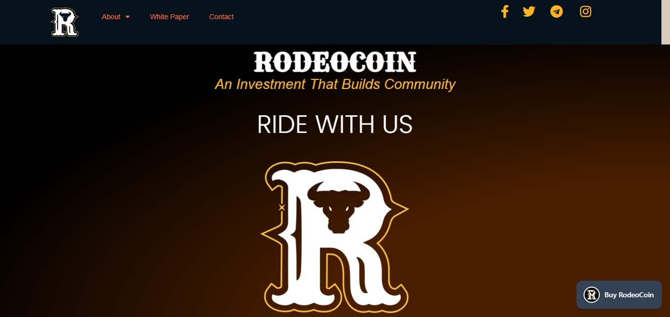 What Is Rodeo Coin(RODEO)? Complete Guide & Review About Rodeo Coin