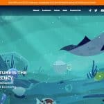 What Is Koi Network(KOI)? Complete Guide & Review About Koi Network
