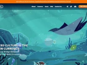 What Is Koi Network(KOI)? Complete Guide & Review About Koi Network