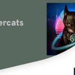 What Is Supercats (S-CATS)? Complete Guide & Review About Supercats