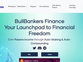 What Is BullBankers (BANKERS)? Complete Guide & Review About BullBankers