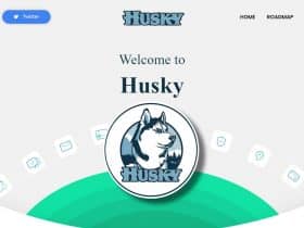 What Is Husky (HUSKY)? Complete Guide & Review About Husky
