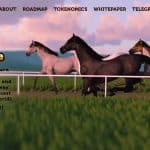 What Is HorseDrace (HORSEDRACE)? Complete Guide & Review About HorseDrace