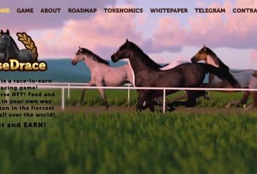 What Is HorseDrace (HORSEDRACE)? Complete Guide & Review About HorseDrace