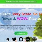 What Is Babyllama (BABYLLAMA)? Complete Guide & Review About Babyllama