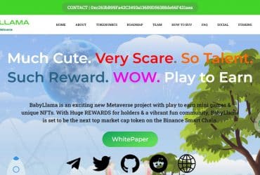 What Is Babyllama (BABYLLAMA)? Complete Guide & Review About Babyllama