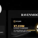 What Is RavenMoon (RVM)? Complete Guide & Review About RavenMoon