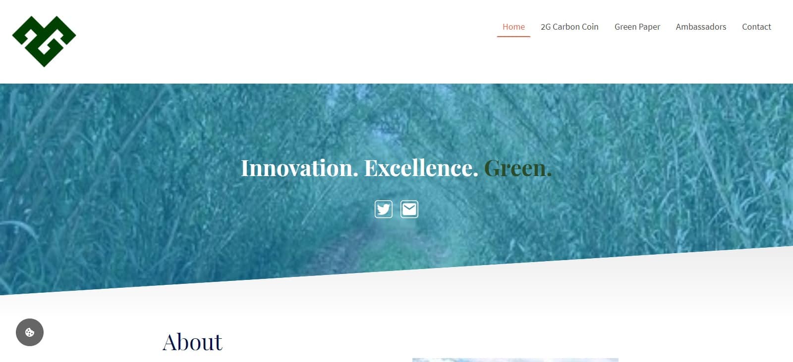 What Is 2G CARBON COIN (2GCC)? Complete Guide & Review About 2G CARBON COIN