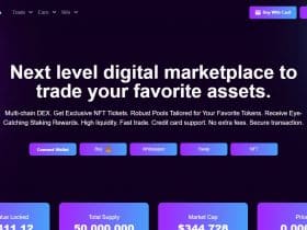 What Is Qroniswap (QNI)? Complete Guide & Review About Qroniswap