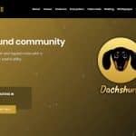 What Is Dachshund (DSD)? Complete Guide & Review About Dachshund
