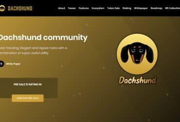 What Is Dachshund (DSD)? Complete Guide & Review About Dachshund
