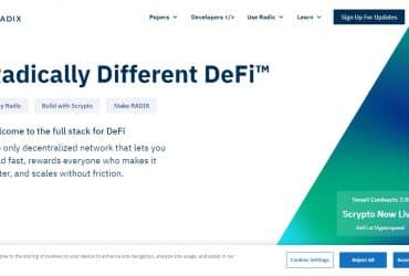 Radix Defi Coins Review - A Detailed Review About Radix