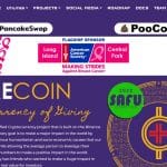 What Is CareCoin (CARESV2)? Complete Guide & Review About CareCoin