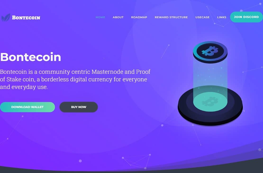 What Is Bontecoin (BONTE)? Complete Guide & Review About Bontecoin