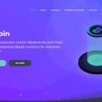 What Is Bontecoin (BONTE)? Complete Guide & Review About Bontecoin