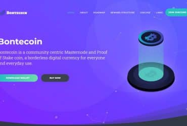 What Is Bontecoin (BONTE)? Complete Guide & Review About Bontecoin