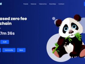 Panda Defi Coins Review - A Detailed Review About KlayFi Finance