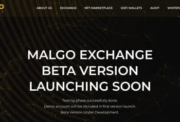 What Is Malgo Finance (MGXG)? Complete Guide & Review About Malgo Finance