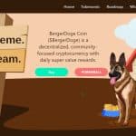 What Is BergerDoge (BERGERDOGE)? Complete Guide & Review About BergerDoge