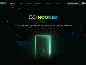 Hooked Defi Coins Review - A Detailed Review About Hooked