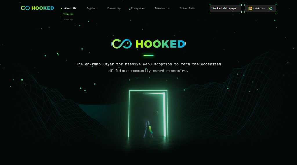 Hooked Defi Coins Review - A Detailed Review About Hooked