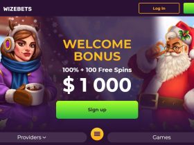Wizebets Casino Review: Welcome Bonus 100% + 100 Free Spins $1000